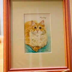 肖像画❣️ こんばんは🌆

数年前に入った猫の雑貨屋…(1枚目)