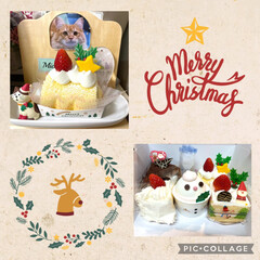 クリスマスケーキ/コンコンブルクリスマスシリーズ/コンコンブル大好き/猫大好き こんばんは🌆

クリスマスケーキをミッキ…(1枚目)