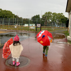 動物園 今日は孫ちゃんとあいにくの雨ですが。
動…(3枚目)