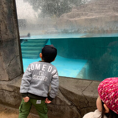 動物園 今日は孫ちゃんとあいにくの雨ですが。
動…(4枚目)