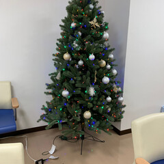 クリスマスツリー 私が通院してる整形外科と内科の待合室に飾…(3枚目)