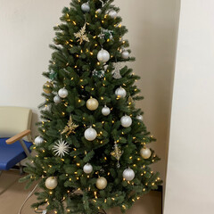 クリスマスツリー 私が通院してる整形外科と内科の待合室に飾…(4枚目)
