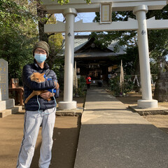 ミッキー/にゃんこ同好会/お散歩/おでかけ/初詣⛩ こんにちは😃
今日ミッキー連れて近所の…