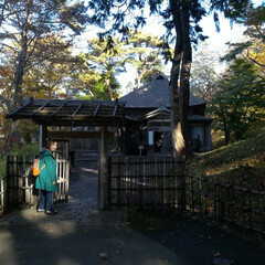 風景/旅行/旅 北海道函館市の香雪園での紅葉です。とても…(9枚目)