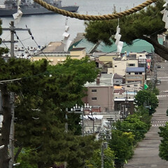 山上大神宮/函館/LIMIAおでかけ部/おでかけ/旅行/風景 山上大神宮から見た風景です(2枚目)