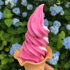 薔薇ソフト/おでかけワンショット 薔薇ソフトクリーム食べました！ほんのり甘…(1枚目)