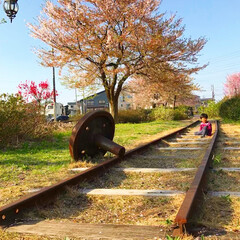 線路/平成最後の一枚 夕方、線路で一休み。桜と線路と夕方の日差…(1枚目)