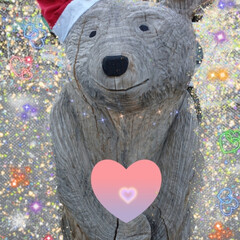 ZIPポーズ/木彫りの熊/クリスマス/おうち時間/メリークリスマス/我が家のクリスマス2021 ✨Merry Christmas✨(1枚目)