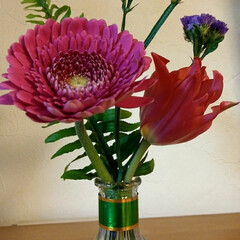 Flowershop KIS/Bloomee LIFE/花 今週のお花。
・ガーベラ シーマ/静岡 …(1枚目)