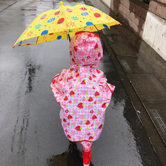 傘/雨/雨季ウキフォト投稿キャンペーン 完全防備で雨に遊びまわってます(1枚目)
