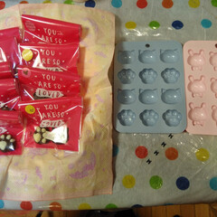 手作りチョコ/動物チョコレート/可愛い動物チョコ/甘いもの/チョコレート バレンタインの時期に、ダイソーで、買った…(2枚目)