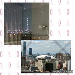 スカイツリー/東京ドーム/元気だよ 病室から見えるスカイツリーと別の窓からの…(1枚目)