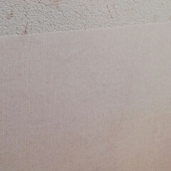 裏紙のないそのまま貼れるカベ紙 | アサヒペン(壁紙)を使ったクチコミ「アサヒペン　裏紙のないそのまま貼れる壁紙…」(4枚目)