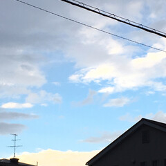 風景/ブルー 🌀台風前日のスカイブルー🌀
束の間の、青…(1枚目)