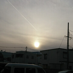 夕方の空/飛行機雲 昨日の夕方の空

できたてホヤホヤのひこ…(1枚目)