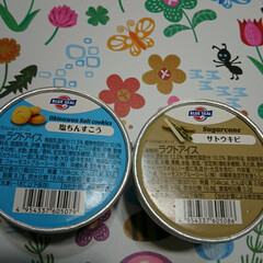 いただきもの/沖縄アイスクリーム 沖縄のアイスクリームを
いただきました😆…(3枚目)