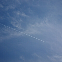 夕方の空/飛行機雲 昨日の夕方の空

できたてホヤホヤのひこ…(2枚目)