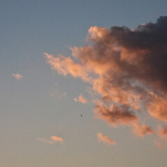 飛行機/夕方の空 昨日の夕方、空が綺麗だなと
見ていたら
…(3枚目)