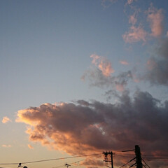 飛行機/夕方の空 昨日の夕方、空が綺麗だなと
見ていたら
…(1枚目)
