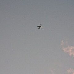 飛行機/夕方の空 昨日の夕方、空が綺麗だなと
見ていたら
…(5枚目)