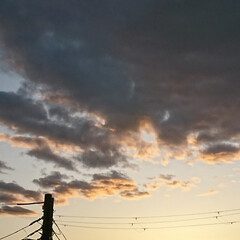 夕焼け/空/月/飛行機 昨日の空🌆

19時過ぎ、雲が多いけど
…(2枚目)