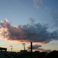 空/夕焼け 昨日の夕方の空.:*゜

大きな雲と夕焼…(1枚目)