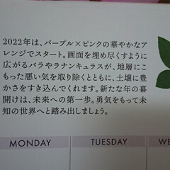 花風水カレンダー(1月)/贈り物 花風水カレンダー(1月)


今年も友達…(2枚目)