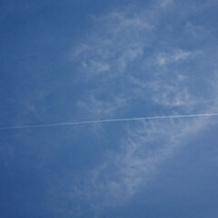 夕方の空/飛行機雲 昨日の夕方の空

できたてホヤホヤのひこ…(3枚目)