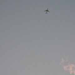 飛行機/夕方の空 昨日の夕方、空が綺麗だなと
見ていたら
…(6枚目)