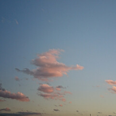 飛行機/夕方の空 昨日の夕方、空が綺麗だなと
見ていたら
…(2枚目)