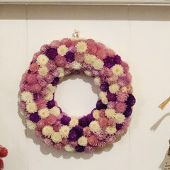 セリア/100均/ハンドメイド/庭の千日紅でリース/まんまるで可愛い/玄関の可愛いコーナー/... 庭の千日紅で💕リース完成❣️

昨年は種…(3枚目)