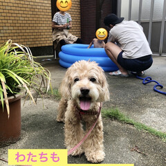 一度に沢山作れる水風船/水風船/100均/夏休み最後の思い出/童心にかえる/夏休みの思い出/... コロナ禍で毎年恒例になった、我が家の水遊…