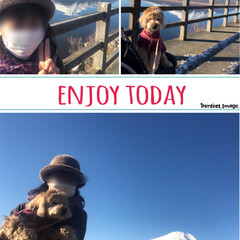 富士山/犬とお出かけ/愛犬/お出かけ/富士山LOVE/富士山大好き/... やって来ました8ヶ月ぶりの富士五湖へ🚗💨…(7枚目)