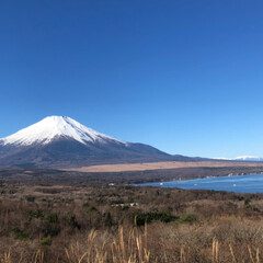 富士五湖/わんこ同好会/山中湖/富士山/フォロー大歓迎 昨日は☀️お天気が良くて最高🗻でした〜
…(2枚目)