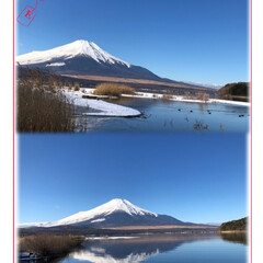 富士山/犬とお出かけ/愛犬/お出かけ/富士山LOVE/富士山大好き/... やって来ました8ヶ月ぶりの富士五湖へ🚗💨…(8枚目)