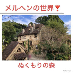 癒し/チンチラ/お出かけ/ドライブ/メルヘンの世界/メルヘン/... ふくろう🦉に逢いに、浜名湖のぬくもりの森…