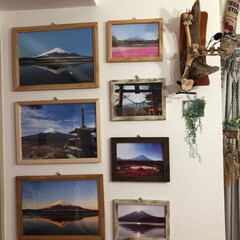 ふくろう/木のぬくもり/フクロウの壁掛け/富士山大好き/お気に入り/写真/... リビングの一角の、私の富士山🗻ミュージア…(1枚目)