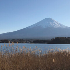 富士五湖/わんこ同好会/山中湖/富士山/フォロー大歓迎 昨日は☀️お天気が良くて最高🗻でした〜
…(7枚目)