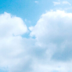 自然観察会/山/フィカス・ウンベラータ/空がきれい/雲/空/... 今日の、カフェに、立ち寄った帰りに、たま…(5枚目)