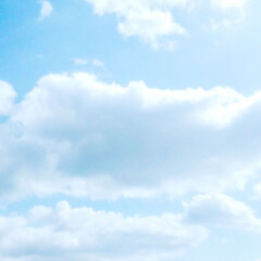 自然観察会/山/フィカス・ウンベラータ/空がきれい/雲/空/... 今日の、カフェに、立ち寄った帰りに、たま…(2枚目)