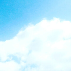 自然観察会/山/フィカス・ウンベラータ/空がきれい/雲/空/... 今日の、カフェに、立ち寄った帰りに、たま…(3枚目)