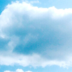 自然観察会/山/フィカス・ウンベラータ/空がきれい/雲/空/... 今日の、カフェに、立ち寄った帰りに、たま…(6枚目)