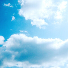 自然観察会/山/フィカス・ウンベラータ/空がきれい/雲/空/... 今日の、カフェに、立ち寄った帰りに、たま…(4枚目)