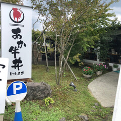 ねこ/ご飯/おでかけ 実家の熊本へ
阿蘇であか牛丼食べてきまし…(1枚目)