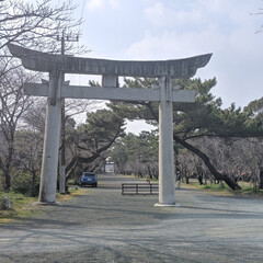LIMIAペット同好会/LIMIAおでかけ部/ペット仲間募集/おでかけ/旅行/風景/... 旅記録
娘の学校の近くにある三柱神社
ホ…