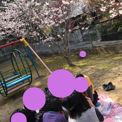 お花見/桜/春うらら いつもの吉原分校から近くを探索していたら…(5枚目)