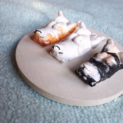 ハンドメイド/犬/へそ天/日本犬/北海道犬/柴犬/... 粘土で形造って色つけしました。
(4枚目)