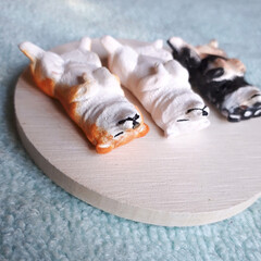 ハンドメイド/犬/へそ天/日本犬/北海道犬/柴犬/... 粘土で形造って色つけしました。
(3枚目)