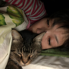 フォロー大歓迎/ペット/猫 寒い夜は枕を共に。
ぬくぬく〜(1枚目)