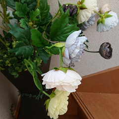 手作りインテリア/DIY/セリア/インテリア セリアでモノトーン造花を見つけました！ …(2枚目)